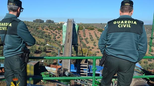 Dos agentes en un olivar