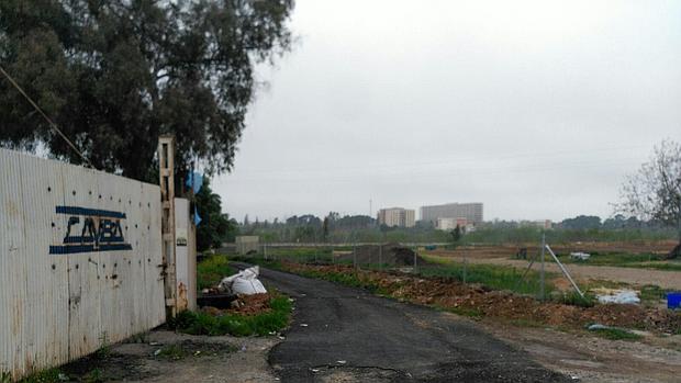 Zona de la avenida de Cádiz en la que se han producido los hechos