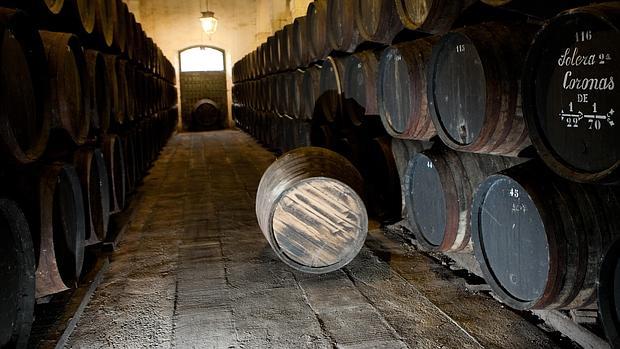 Interior de una bodega