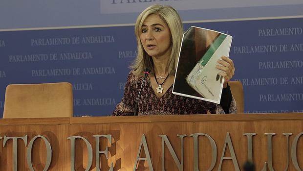 La portavoz del Partido Popular en el Parlamento andaluz, Patricia del Pozo