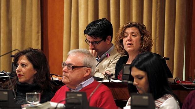 Alba Doblas, concejala de Hacienda (IU), junto a Pedro García en la bancada superior