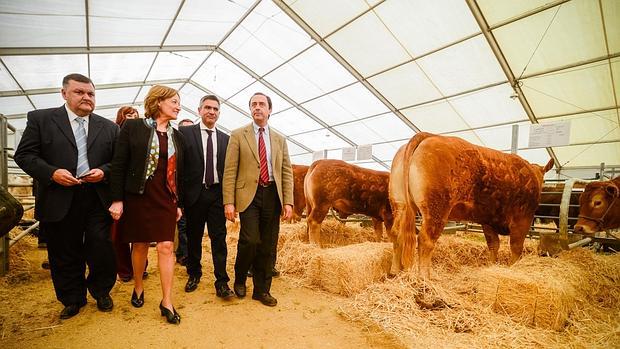 La consejera de Agricultura en el recinto ferial de Pozoblanco