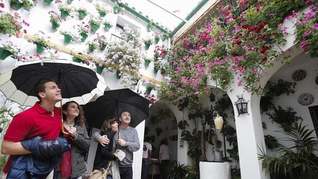 Visitantes a un patio con un paraguas