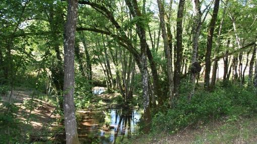 Paraje del Bejarano