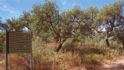 Cartel indicador de senderos en la zona natural