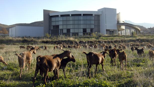 El Museo de los Dólmenes, una ruina moderna