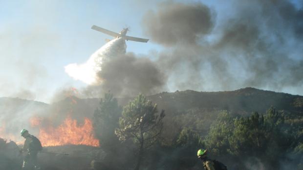 Activos del Infoca socorriendo un incendio