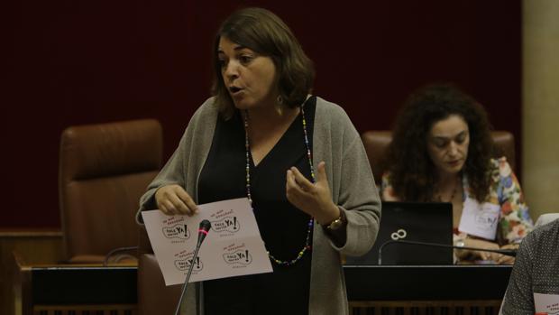 IU tilda de «vergüenza» que la Junta no vaya a investigar al colectivo de Córdoba afín al PSOE