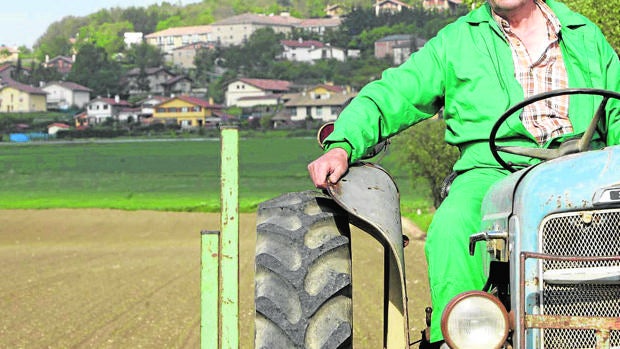 El empleo agrario fue el que más siniestralidad laboral registró