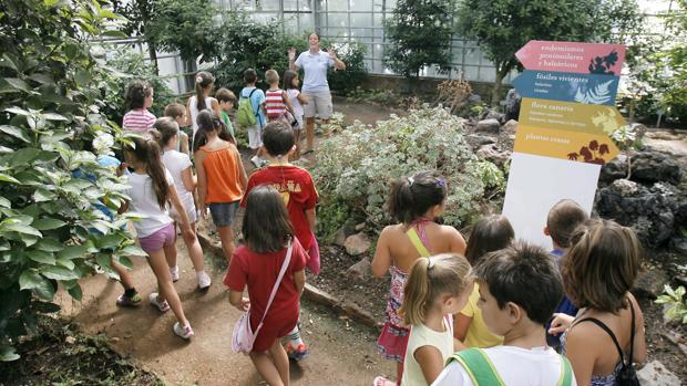 La escuela de verano del Ayuntamiento de Córdoba duplica sus plazas para llegar a 1.500 niños