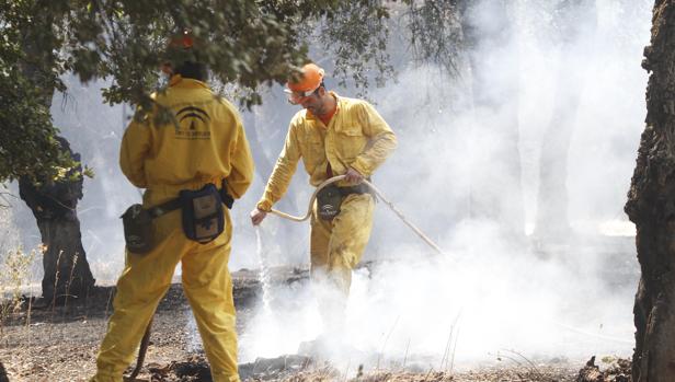 Personal del Infoca extingue un incendio en la sierra de Córdoba