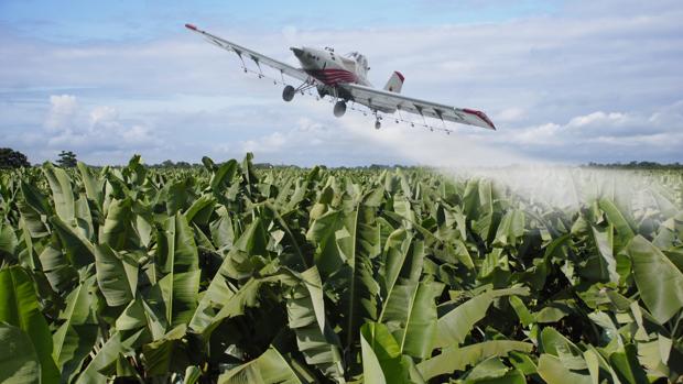 Una avioneta realizando una fumigación