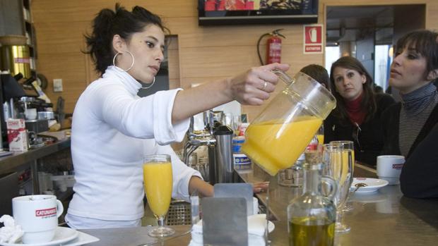 Córdoba produce ya zumos de naranja con sello de calidad