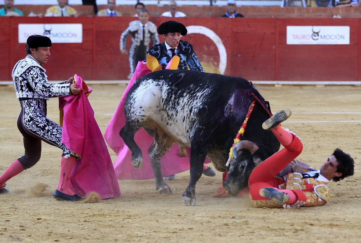 Cogida del torero Víctor Barrio que le provocó la muerte