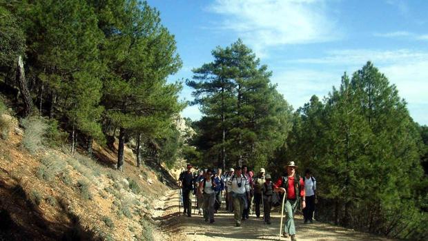 Un grupo de senderistas, por uno de los caminos rurales de la Sierra de Segura