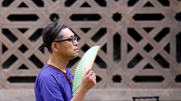 Decretada la alerta amarilla por altas temperaturas en la campiña cordobesa