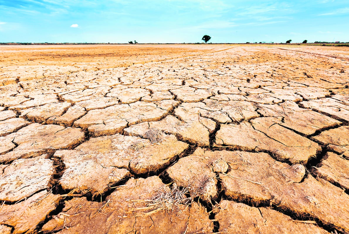 Un campo de cultivo cuarteado por la falta de lluvia