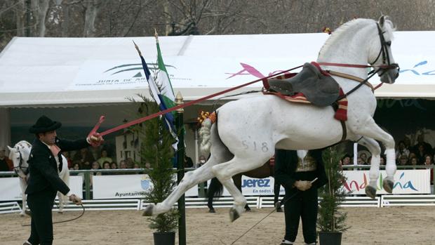 La Real Escuela de Arte Ecuestre de Jerez, gran atractivo de Cabalcor