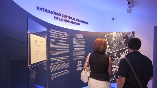 Atractivos y singulares museos para disfrutar en Córdoba