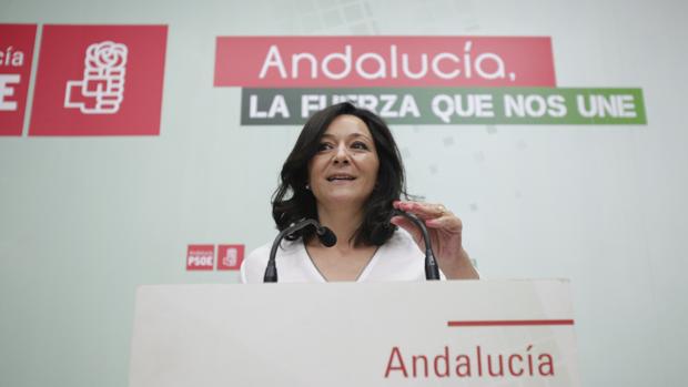 El PSOE-A ofrece un pacto de Estado al Gobierno contra la violencia de género