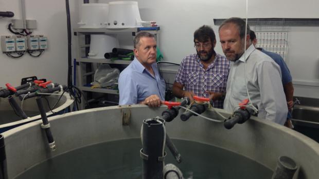 El director general de Gestión del Medio Natural y Espacios Protegidos, durante la visita que ha efectuado al centro en compañía del delegado de Medio Ambiente, Francisco de Paula Algar