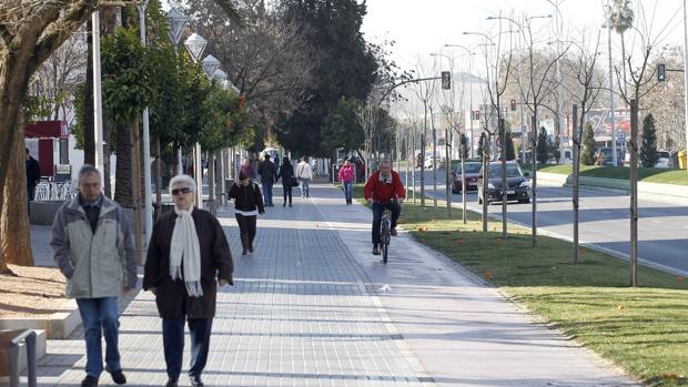 Un detenido por atropellar a una mujer y darse a la fuga