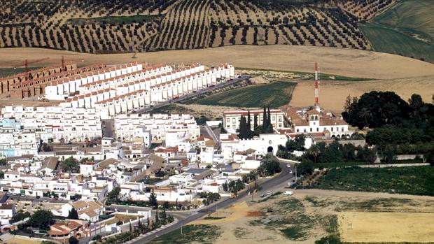 Vista aérea de urbanizaciones de viviendas ubicadas en el Aljarafe sevillano