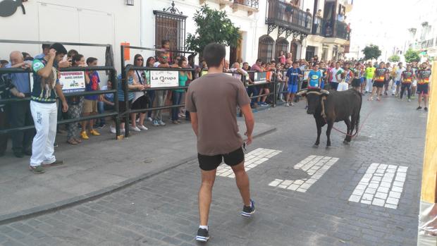 Celebracion del Toro de Cuerda de Carcabuey