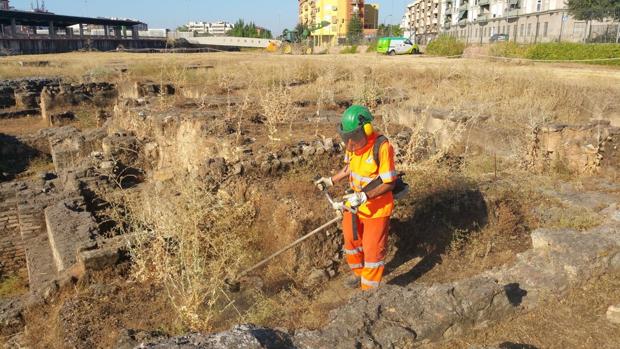 Un trabajador de Sadeco desbroza parte del terreno