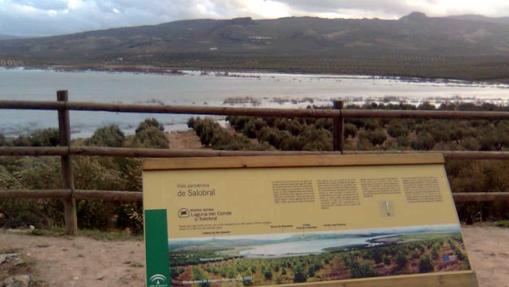 El recorrido permite disfrutar de la rica avifauna de la Reserva Natural de la Laguna del Salobral