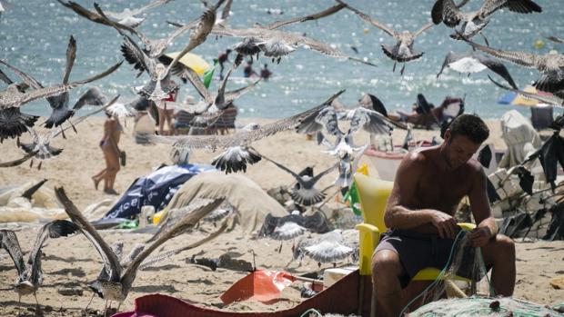 Un pescador repara las redes en la playa de La Antilla