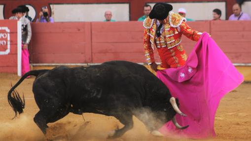 El Fandi torea con el capote a su primero