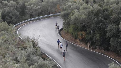 Un grupo de corredores durante una prueba que asciende a la Sierra