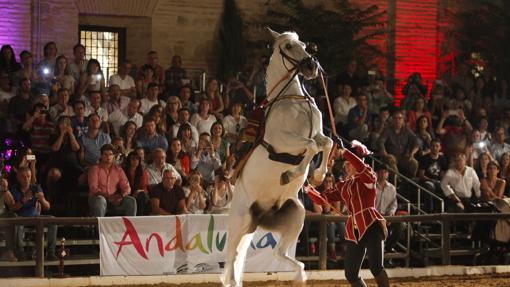 Espectáculo ecuestre en Caballerizas Reales