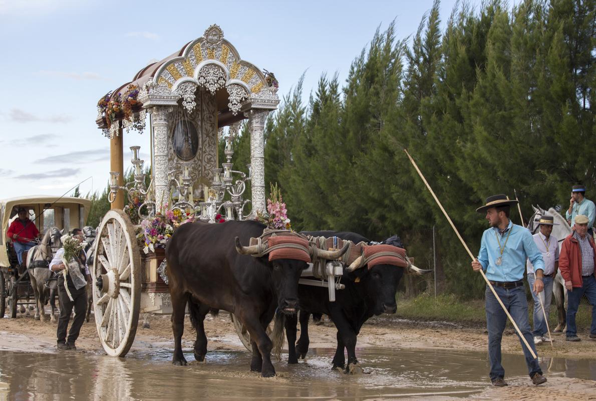 Hermandad del Rocío de Córdoba