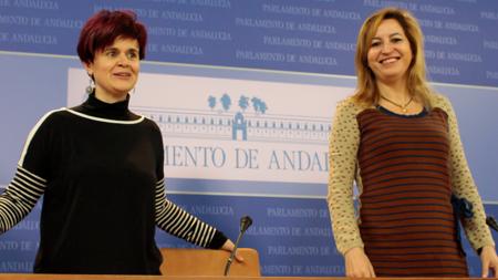 Esperanza Gómez y Carmen Lizárraga, pesos pesados de Podemos en el Parlamento