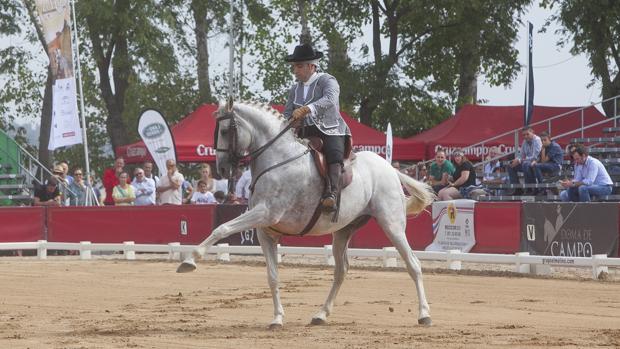 Una exhibición ecuestre en el último Salón del Caballo