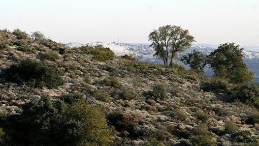 Paraje de la Cruz Verde