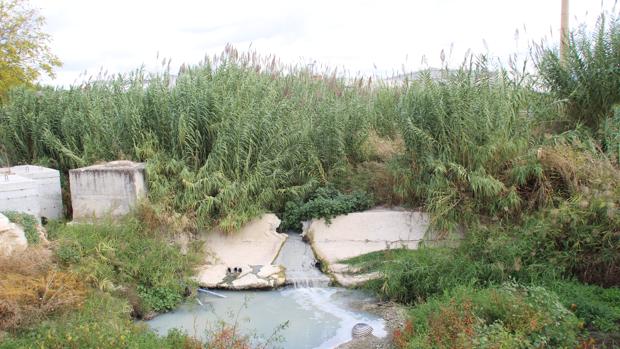 Puente del río Cabra en mal estado