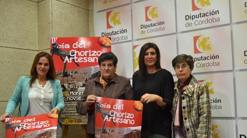 Presentación de la jornada, en la Diputación