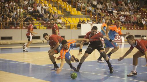 Una acción del ARS Palma del Río