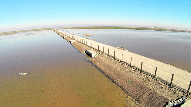 Obra de la CHG en el río Guadalquivir para recuperar su cauce