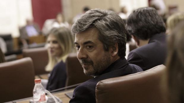 El parlamentario andaluz del PP, Miguel Ángel Torrico