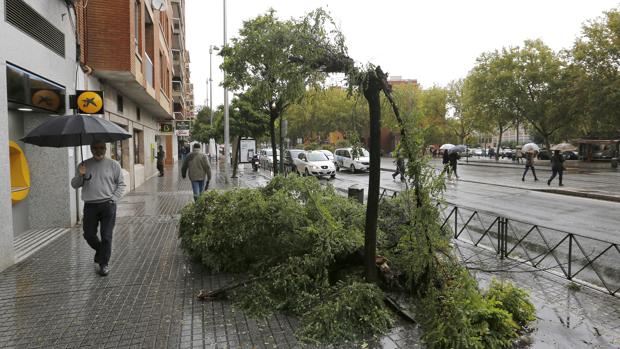 La lluvia será protagonista a lo larrgo de los próximos días