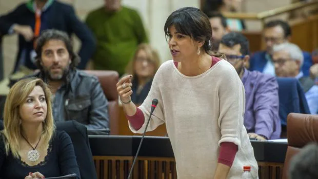 El grupo parlamentario de Podemos Andalucía solo aportó dinero a causas solidarias sus seis primeros meses en el Cámara