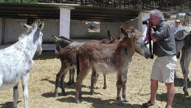 Imagen de burros en las instalaciones de ADEBO