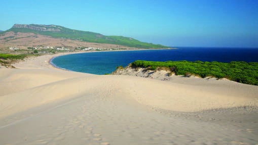 Dunas de la playa de Bolonia