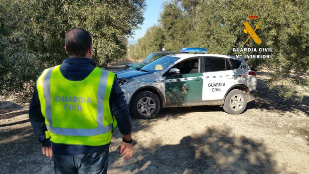 Agentes de la Guardia Civil en un operativo contra el robo en el campo