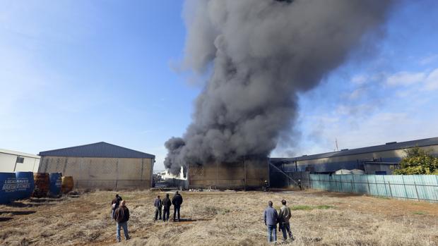 Imagen del incendio del almacén de electrodomésticos de Las Quemadas, ayer