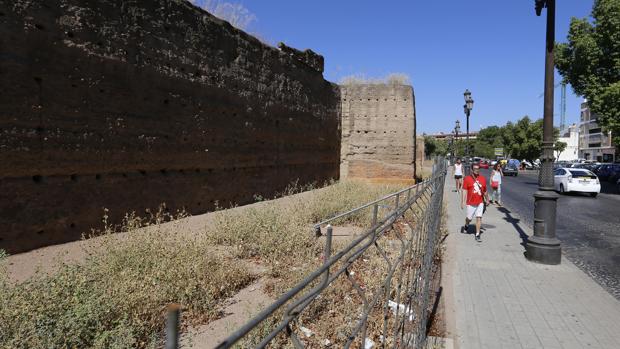 Zona de la vía donde discurrirá el carril-bicio junto a la Muralla